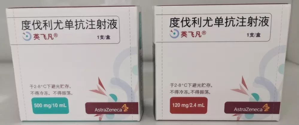 英飛凡