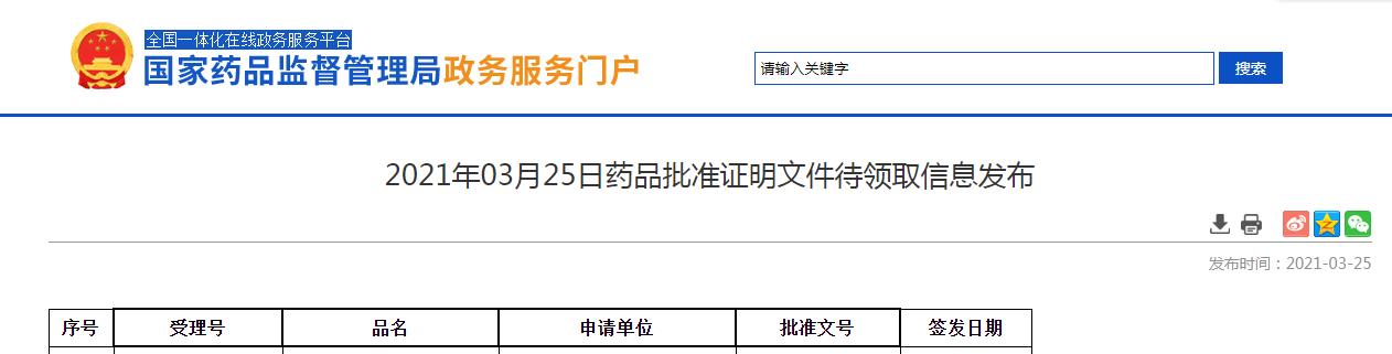 蘋果酸舒尼替尼膠囊