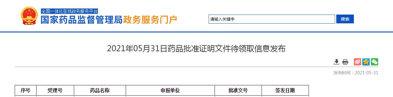 鹽酸厄洛替尼片
