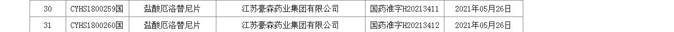 鹽酸厄洛替尼片